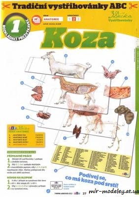 №8129 - Anatomie kozy (ABC 12/2012) из бумаги