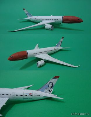 №12981 - Boeing B787-800 Norwegian Air Shuttle (Bruno VanHecke - Asaf Nitsan) из бумаги