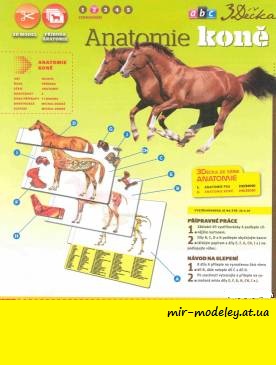 №8070 - Anatomie koně (ABC 19 - 2010 ) из бумаги