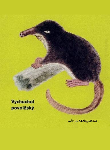 №8048 - Vychuchol (ABC 9/2010) из бумаги