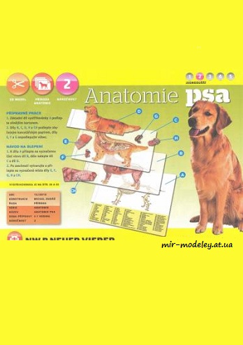 №8052 - Anatomie psa (ABC 12/2010 ) из бумаги
