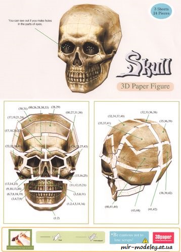 №8355 - Череп / Skull (3DPaper) из бумаги