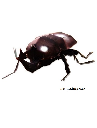 №8348 - Escarabajo [3DPaper]