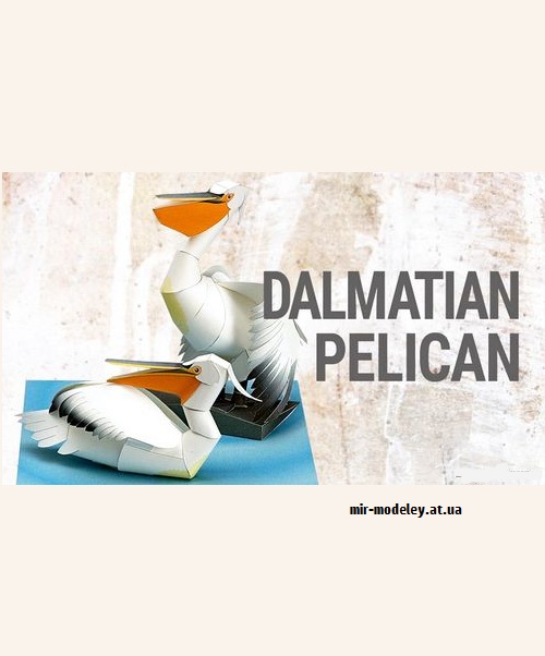 №9192 - Dalmatian Pelican (YAMAHA MOTOR)