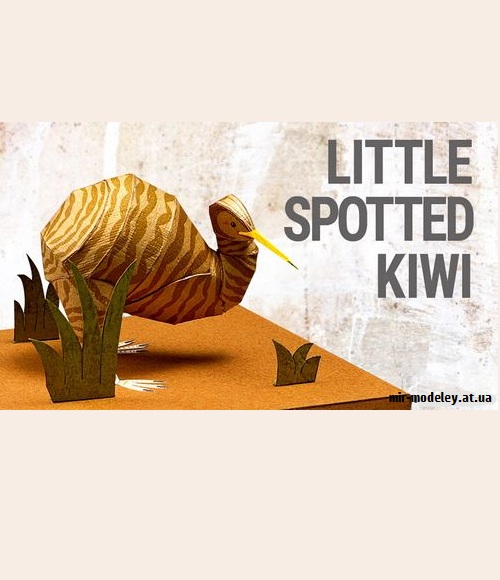 №9204 - Little Spotted Kiwi (YAMAHA MOTOR)