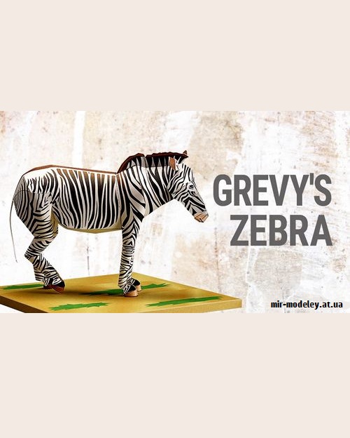 №9195 - Grevy's Zebra (YAMAHA MOTOR)