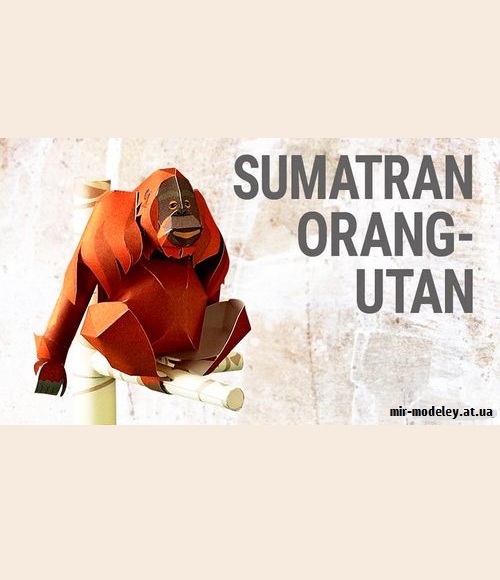 №9214 - Sumatran Orang-utan (YAMAHA MOTOR)