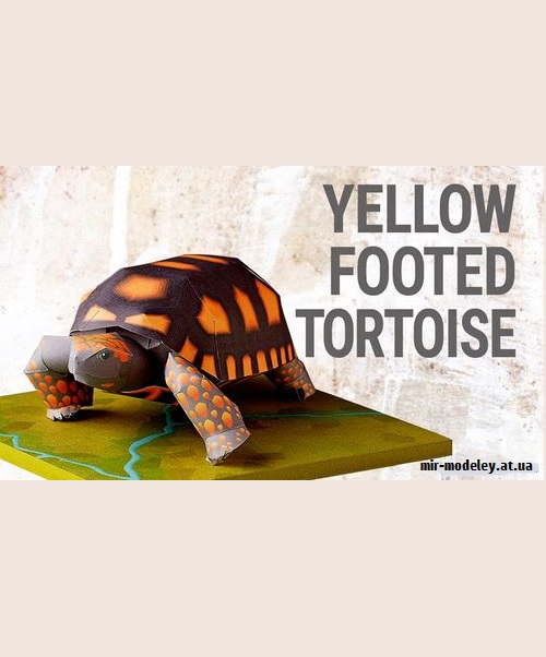 №9215 - Yellow Footed Tortoise (YAMAHA MOTOR)