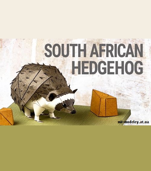 №9212 - South African Hedgehog (YAMAHA MOTOR)