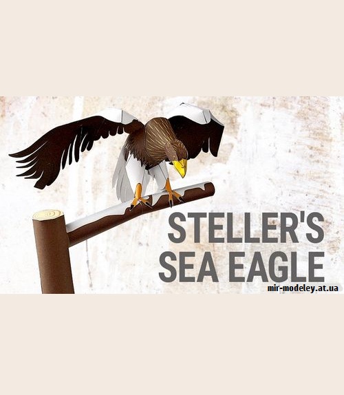 №9213 - Steller's Sea Eagle (YAMAHA MOTOR)