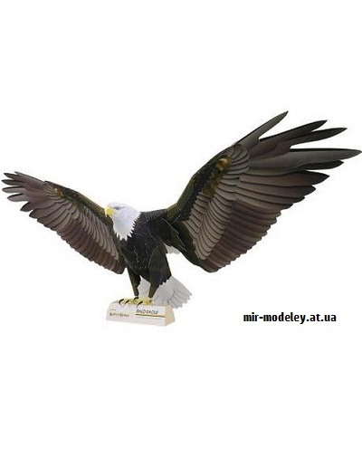 №9386 - Bald Eagle (Canon) из бумаги