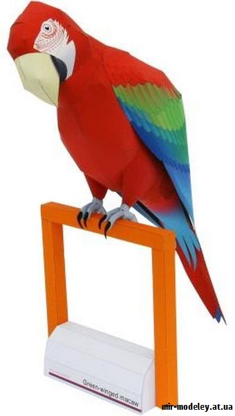 №9370 - Green-winged Macaw (Canon) из бумаги