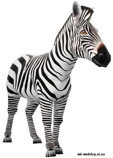 №9385 - Zebra (Canon) из бумаги