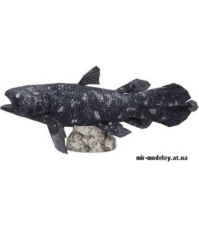 №9391 - Coelacanth (Canon) из бумаги