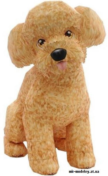 №9358 - Toy Poodle (Canon) из бумаги