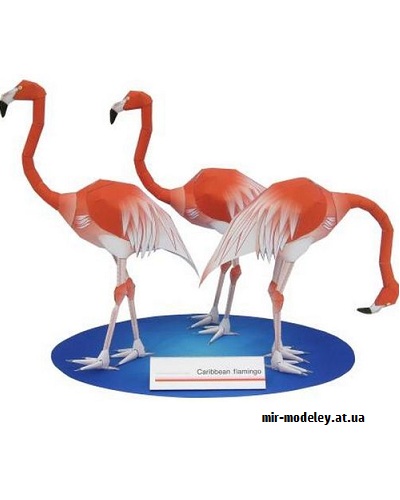 №9376 - Caribbean Flamingo (Canon) из бумаги