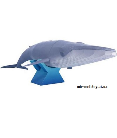 №9366 - Blue Whale (Canon) из бумаги