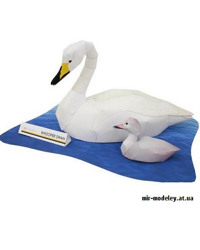 №9423 - Whooper Swan (Canon) из бумаги