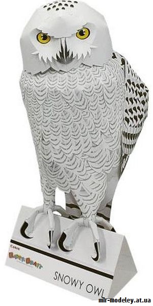 №9418 - Snowy Owl (Canon) из бумаги