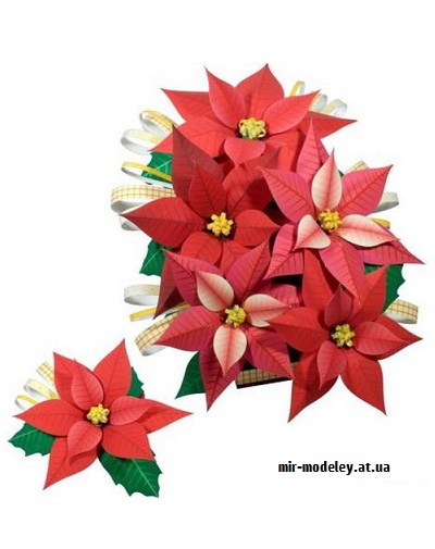 №9587 - Bouquet (Poinsettia) (Canon) из бумаги