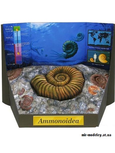 №9547 - Ammonite Fossil (Canon) из бумаги