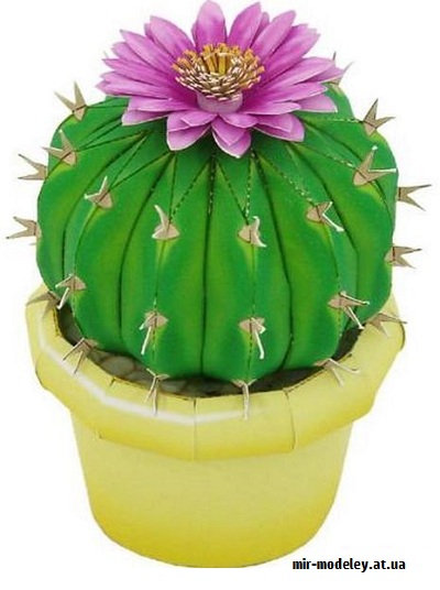 №9592 - Cactus Notocactus Uebelmannianus (Canon) из бумаги