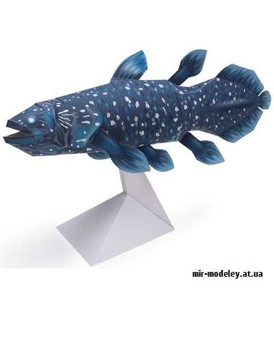 №9600 - Coelacanth 02 (Canon) из бумаги