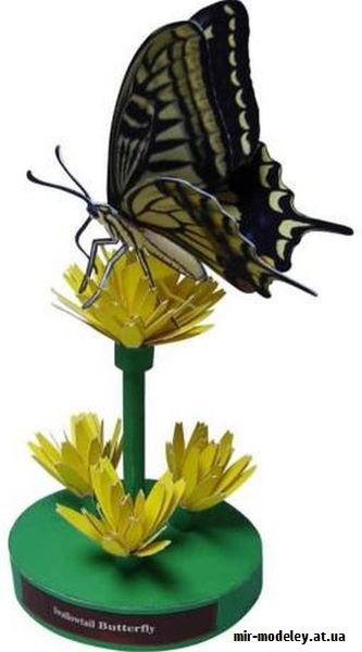 №9653 - Swallowtail Butterfly (Canon) из бумаги