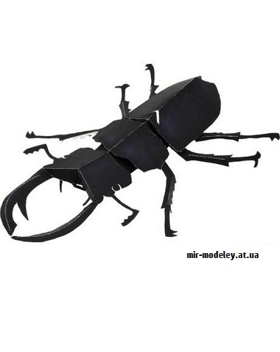 №9647 - Stag Beetle (Canon) из бумаги