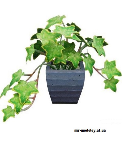 №9779 - Ornamental Plant Ivy - Цветы в горшке (Canon) из бумаги