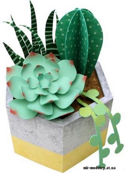 №9784 - Succulents Pot - Цветок в горшке (Canon) из бумаги