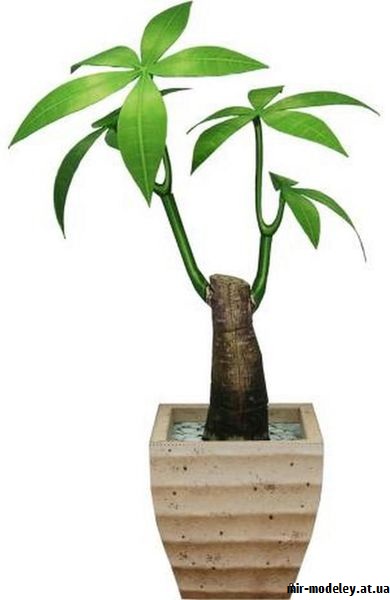 №9781 - Ornamental Plant Pachira - Цветы в горшке (Canon) из бумаги